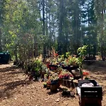 Cabana En El Bosque