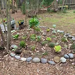 Cabana En El Bosque