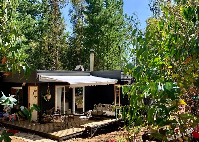 Cabana En El Bosque