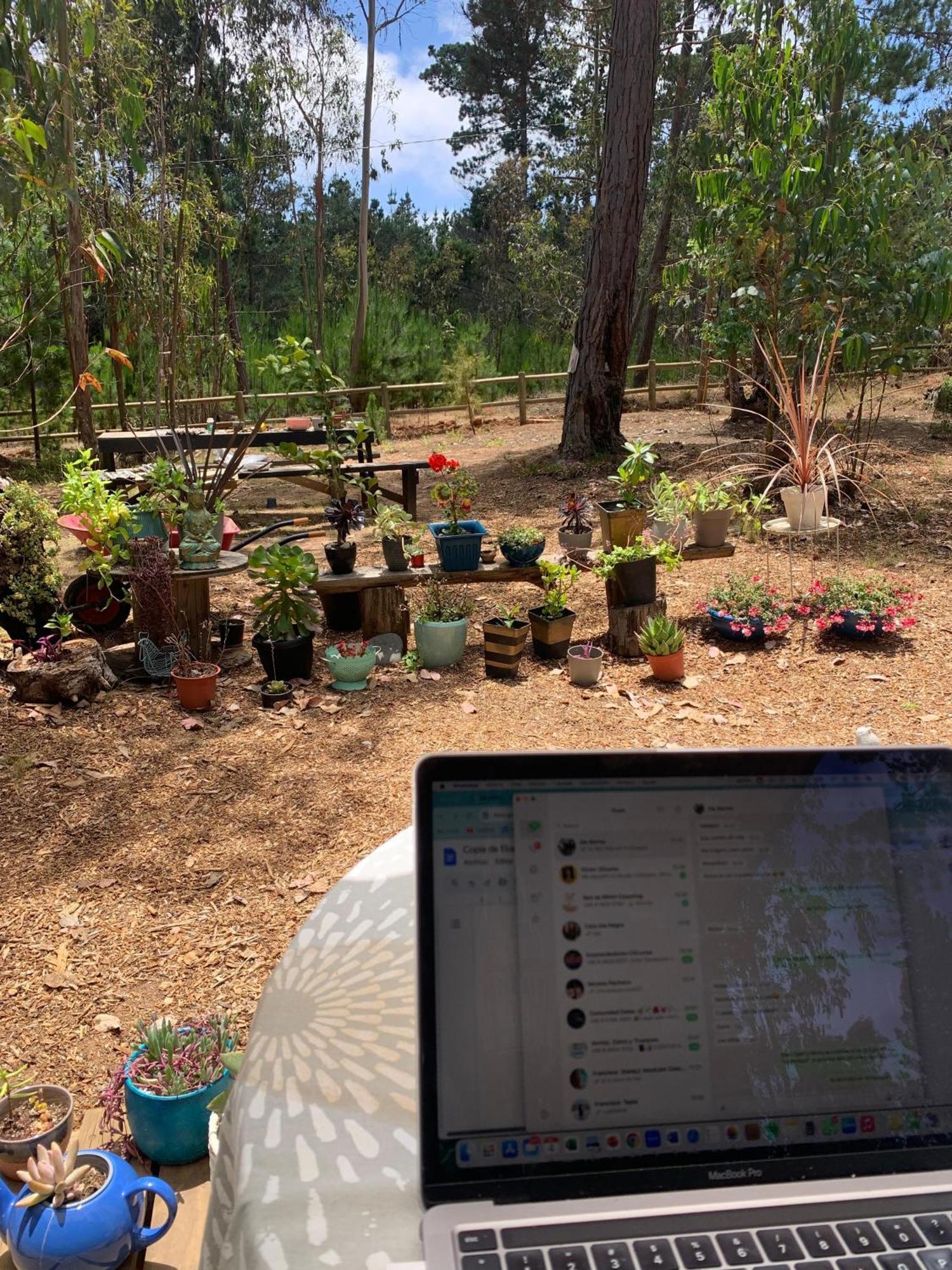 Casa de férias En El Bosque *