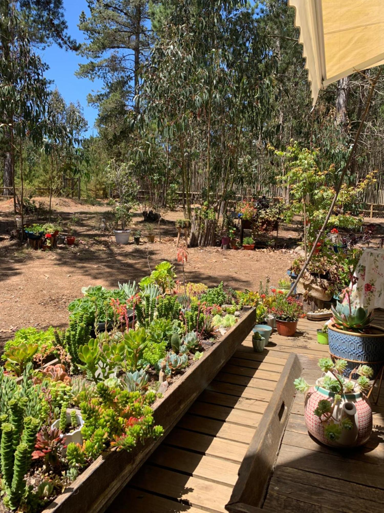 En El Bosque Casa de férias *